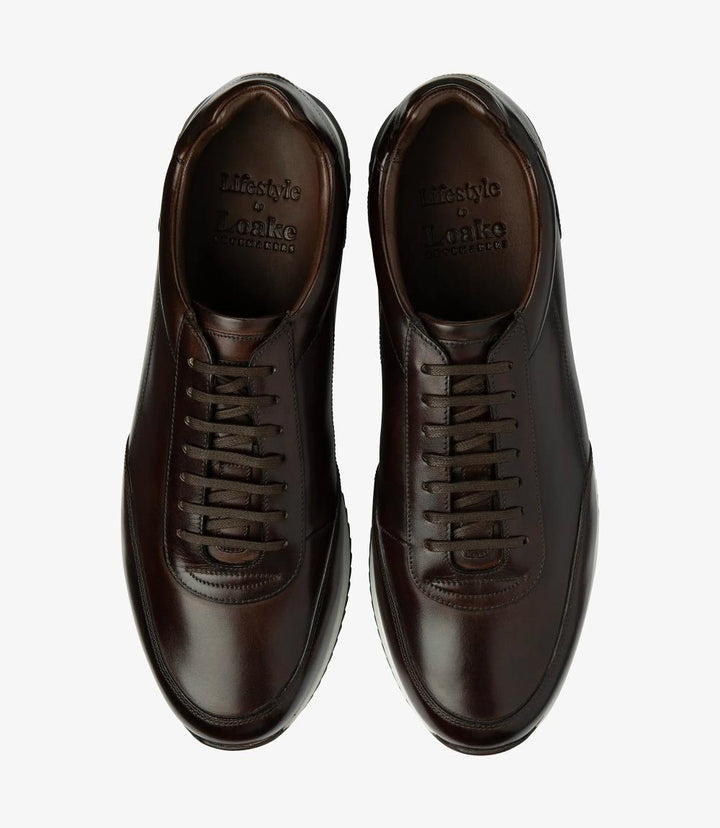 A bird's-eye view presenting a pair of Loake Bannister Dark Brown Leather Trainers, perfectly aligned to showcase their symmetrical design and meticulous craftsmanship. The rich brown leather and fine stitching details are evident from this perspective, epitomizing timeless style and refinement.